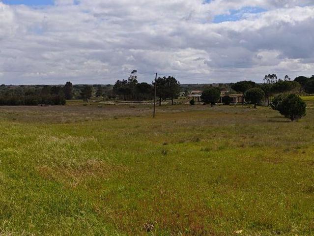 Terreno venda em Coruche, Santarém