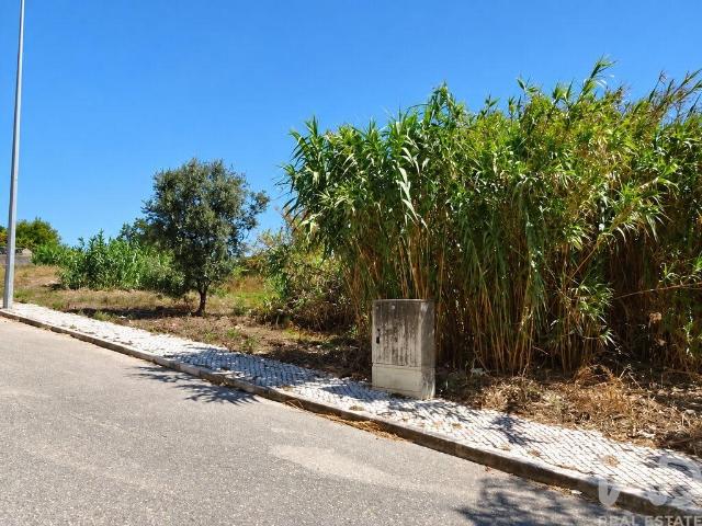 Terreno venda em São Julião da Figueira da Foz, Figueira da Foz