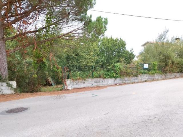 Terreno venda em Oliveira Do Bairro, Aveiro