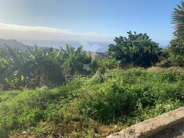 Terreno venda em Câmara De Lobos, Fontainhas do Mar