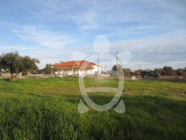 Terreno venda em Portunhos e Outil, Cantanhede
