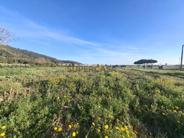 Terreno venda em Viana Do Castelo