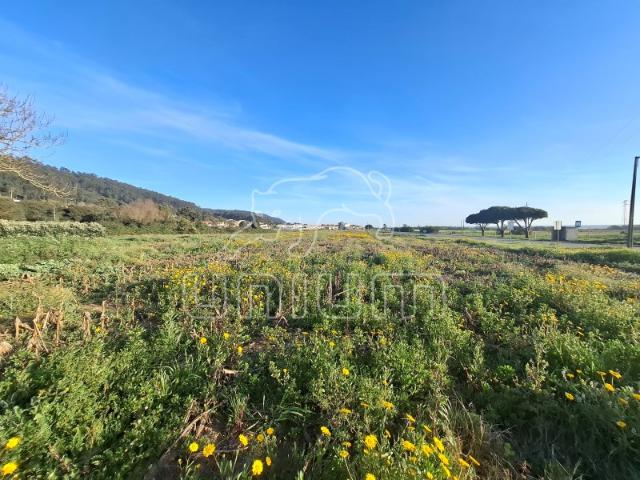 Terreno venda em Viana Do Castelo