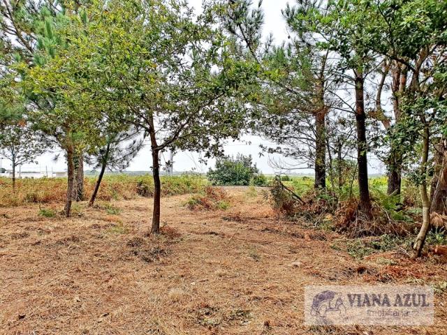 Terreno venda em Viana Do Castelo