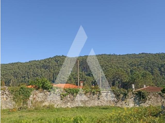 Terreno venda em Viana Do Castelo