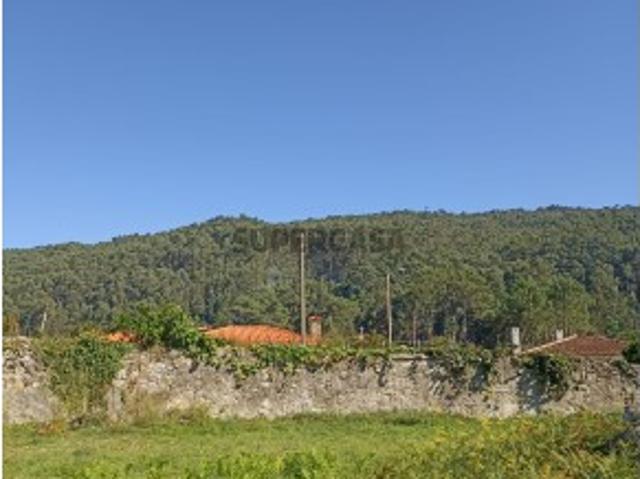 Terreno venda em Viana Do Castelo