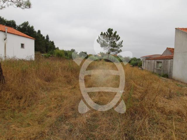 Terreno venda em Condeixa-a-nova, Coimbra