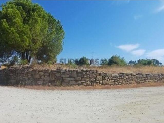 Terreno venda em Castelo Branco