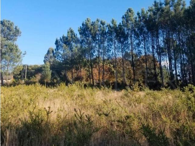 Terreno venda em Valença, Viana Do Castelo