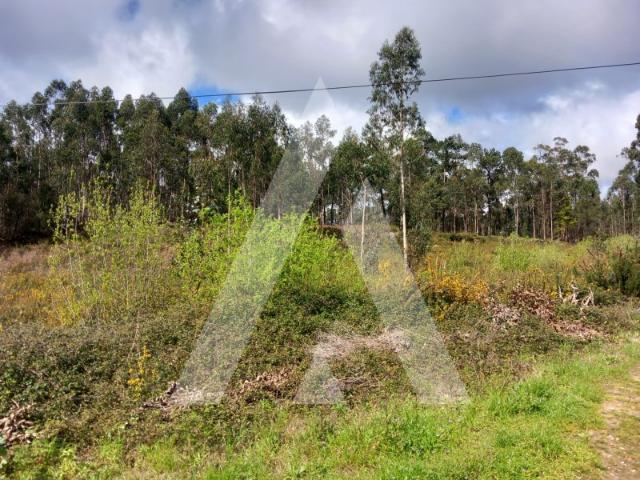 Terreno venda em Oliveira De Azeméis, Aveiro
