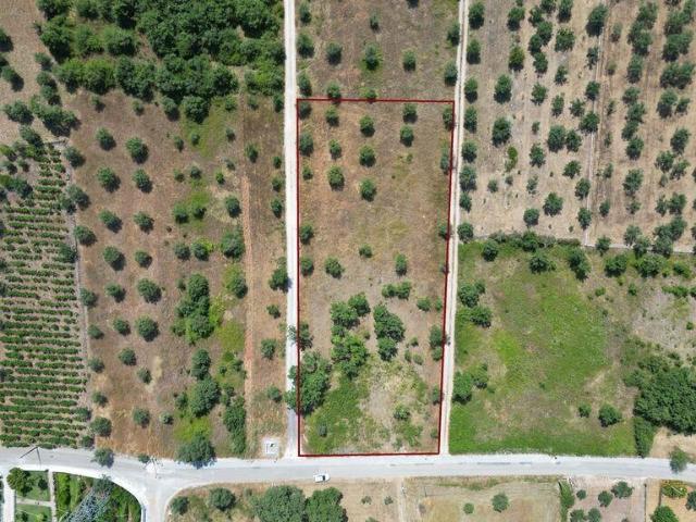 Terreno venda em Ansião, Leiria