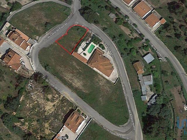 Terreno venda em Chamusca e Pinheiro Grande, Chamusca
