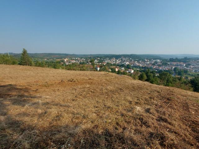 Terreno venda em Arganil, Coja