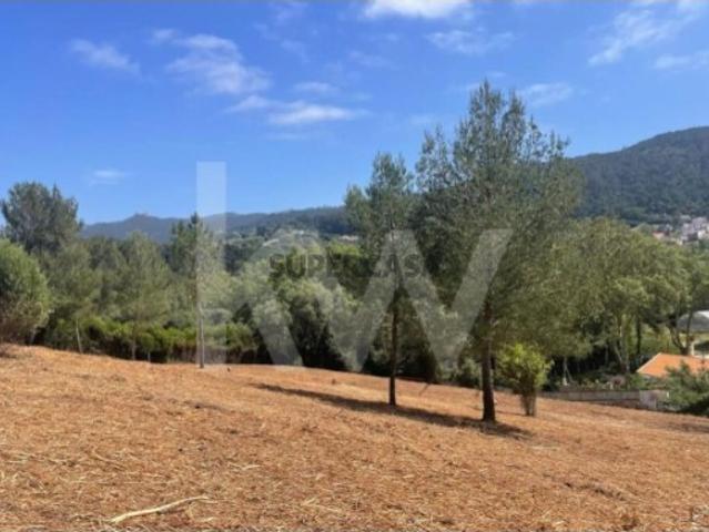 Terreno venda em Sintra, Lisboa