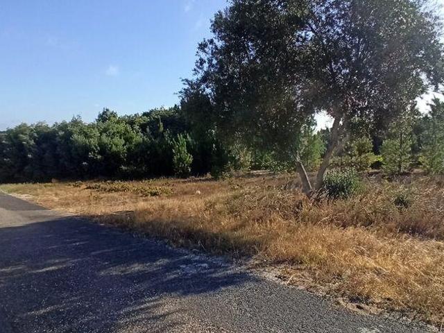 Terreno venda em Coruche, Santarém