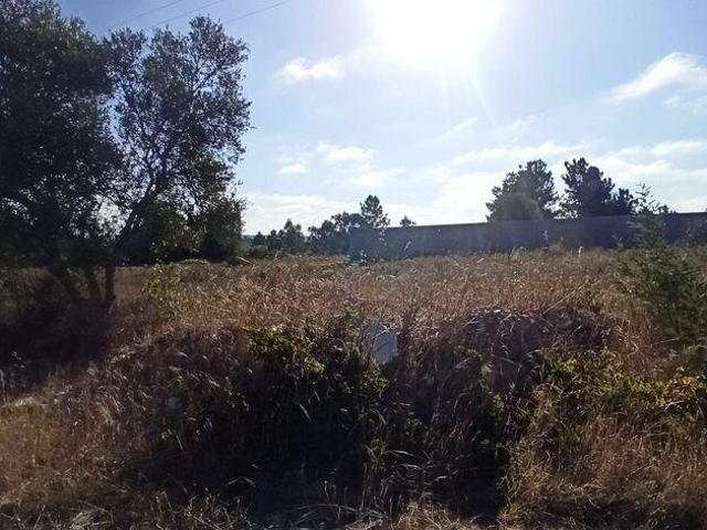 Terreno venda em Coruche, Santarém