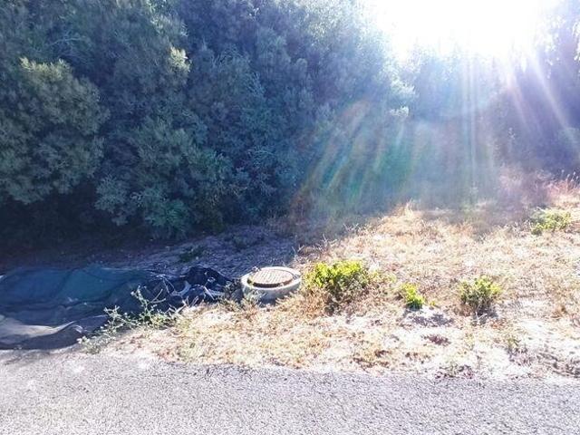 Terreno venda em Coruche, Santarém