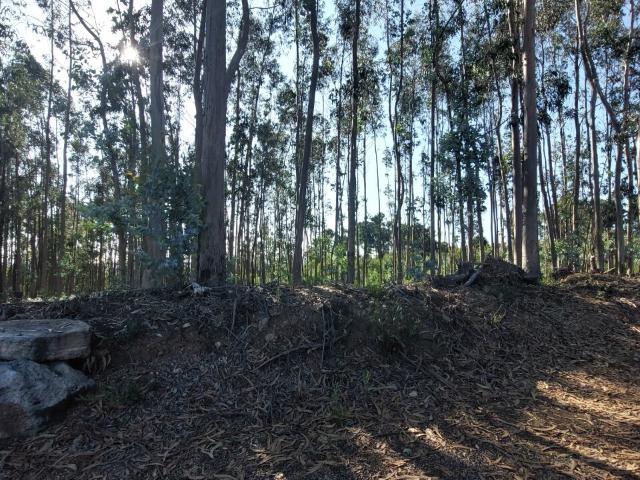 Terreno venda em Santa Maria Da Feira, Aveiro