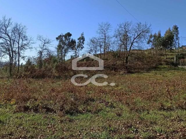 Terreno venda em Leis, Fafe