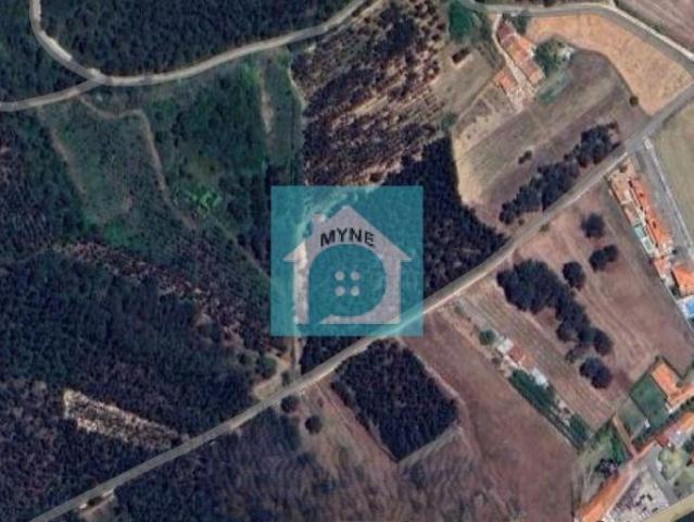 Terreno venda em Pederneira, Leiria
