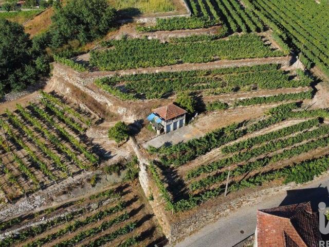 Terreno venda em Figueiró (Santiago e Santa Cristina), Amarante