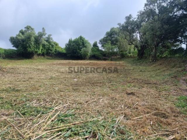 Terreno venda em Sobral, Lisboa