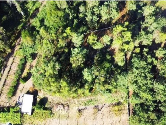 Terreno venda em Esposende, Braga