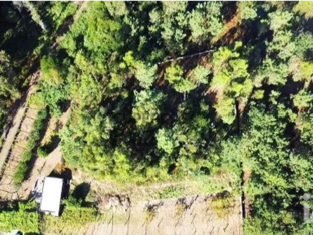 Terreno venda em Esposende, Braga