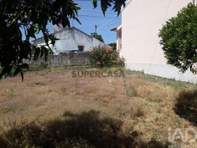 Terreno venda em Portalegre