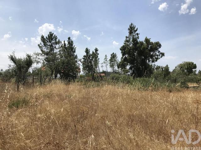 Terreno venda em Ramalheira, Ourém