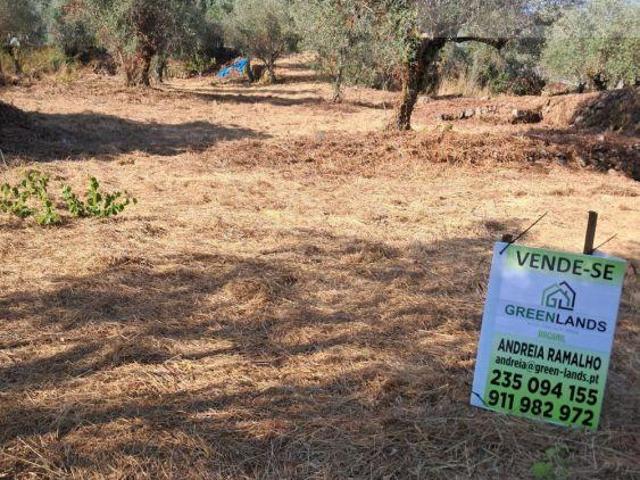 Terreno venda em Góis, Coimbra