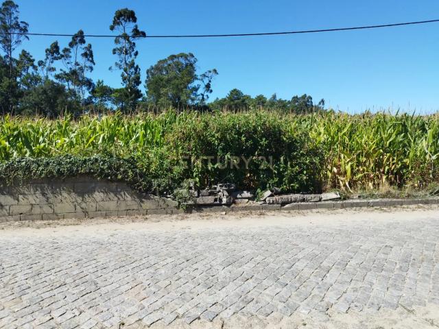 Terreno venda em Esposende, Braga