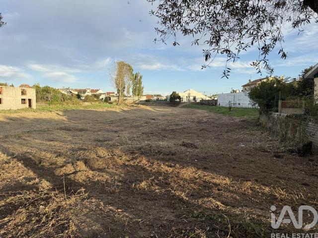 Terreno venda em Ílhavo (São Salvador), Ílhavo