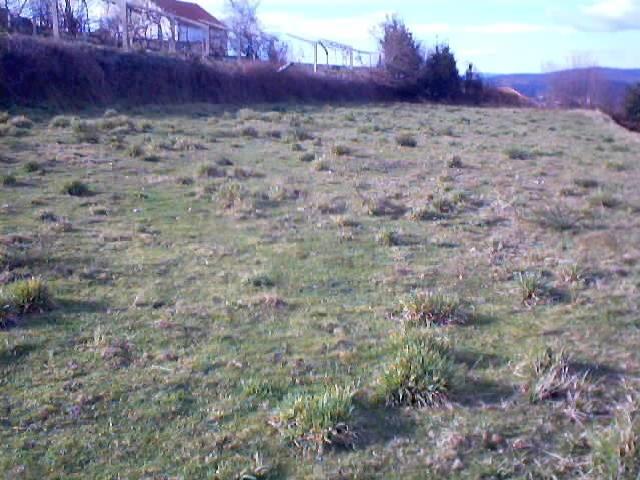 Terreno venda em Infesta, Viana Do Castelo