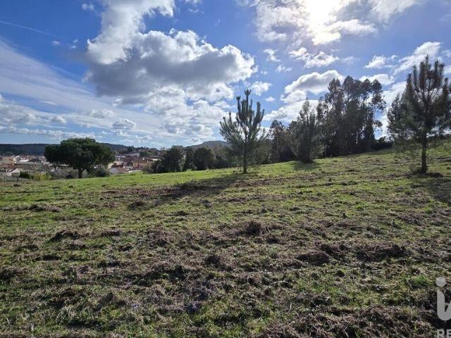 Terreno venda em Cadaval, Lisboa