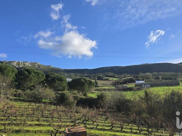 Terreno venda em Cadaval, Lisboa