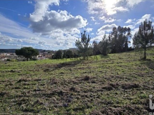 Terreno venda em Cadaval, Alguber