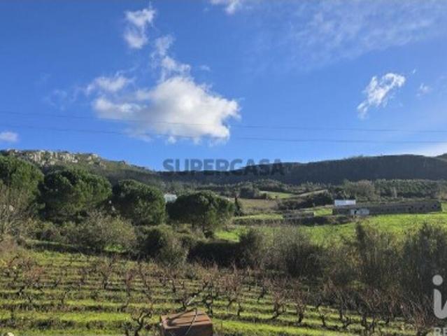 Terreno venda em Cadaval, Lisboa