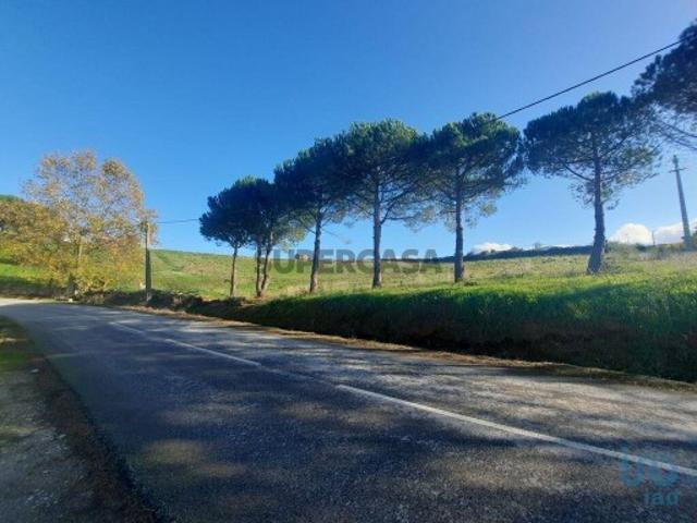 Terreno venda em Cadaval Terreno venda em Cadaval