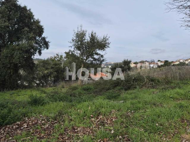 Terreno venda em Cruz d'Areia, Leiria