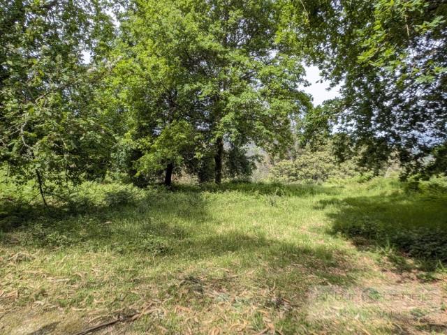 Terreno venda em Arcos De Valdevez, Viana Do Castelo