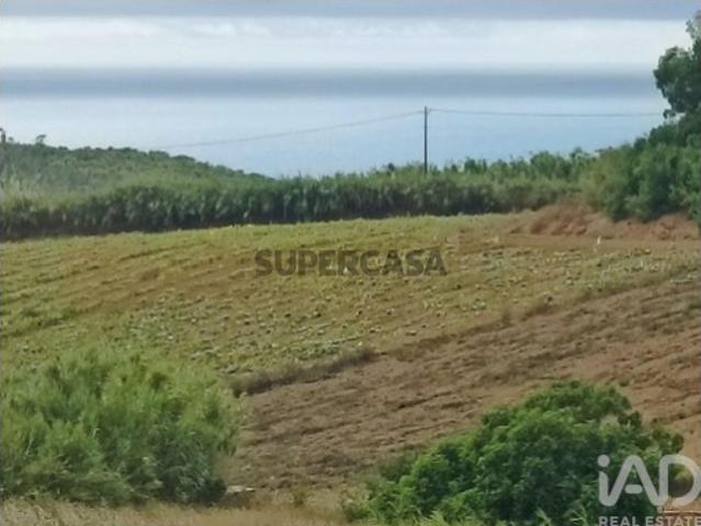 Terreno venda em Lourinhã, Lisboa