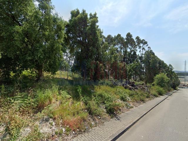 Terreno venda em Lousado, Souto