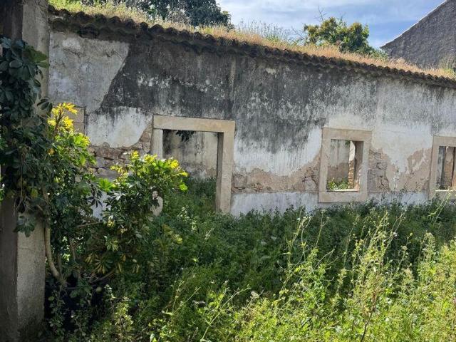 Terreno venda em Alcanena, Santarém