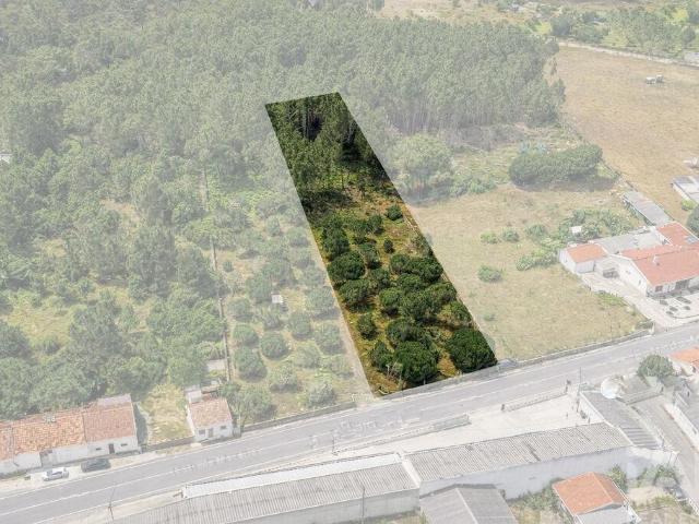 Terreno venda em Marinha Grande