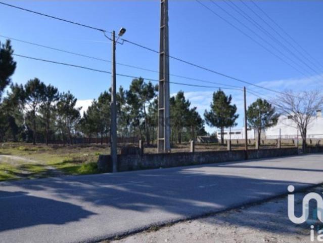 Terreno venda em Picassinos, Marinha Grande
