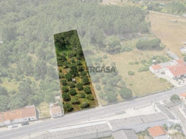 Terreno venda em Marinha Grande