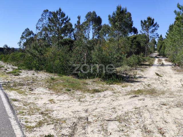 Terreno venda em Grândola, Setúbal