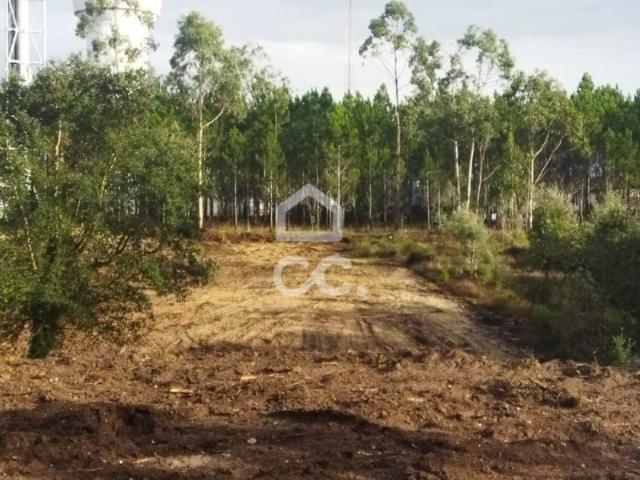 Terreno venda em Caravela, Leiria