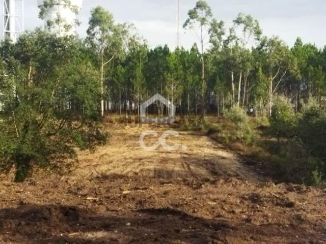 Terreno venda em Leiria